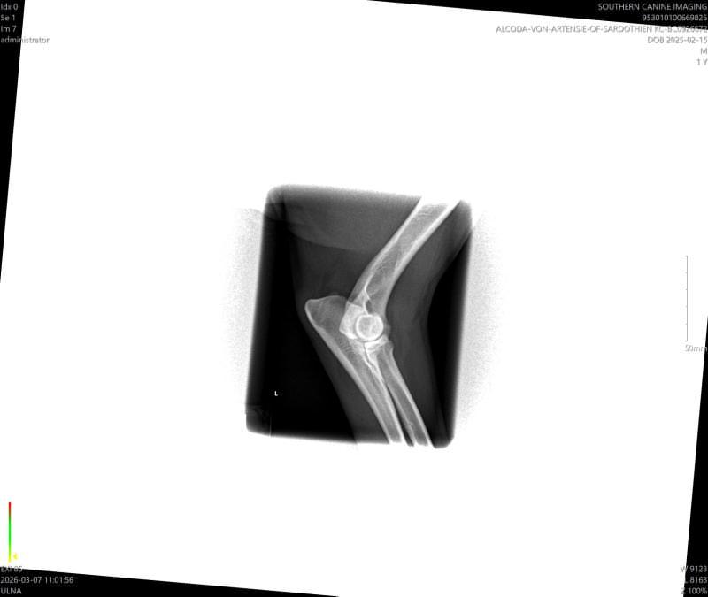 Health certificate 2