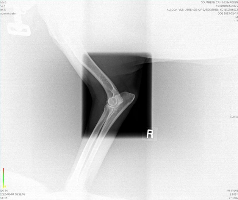 Health certificate 3