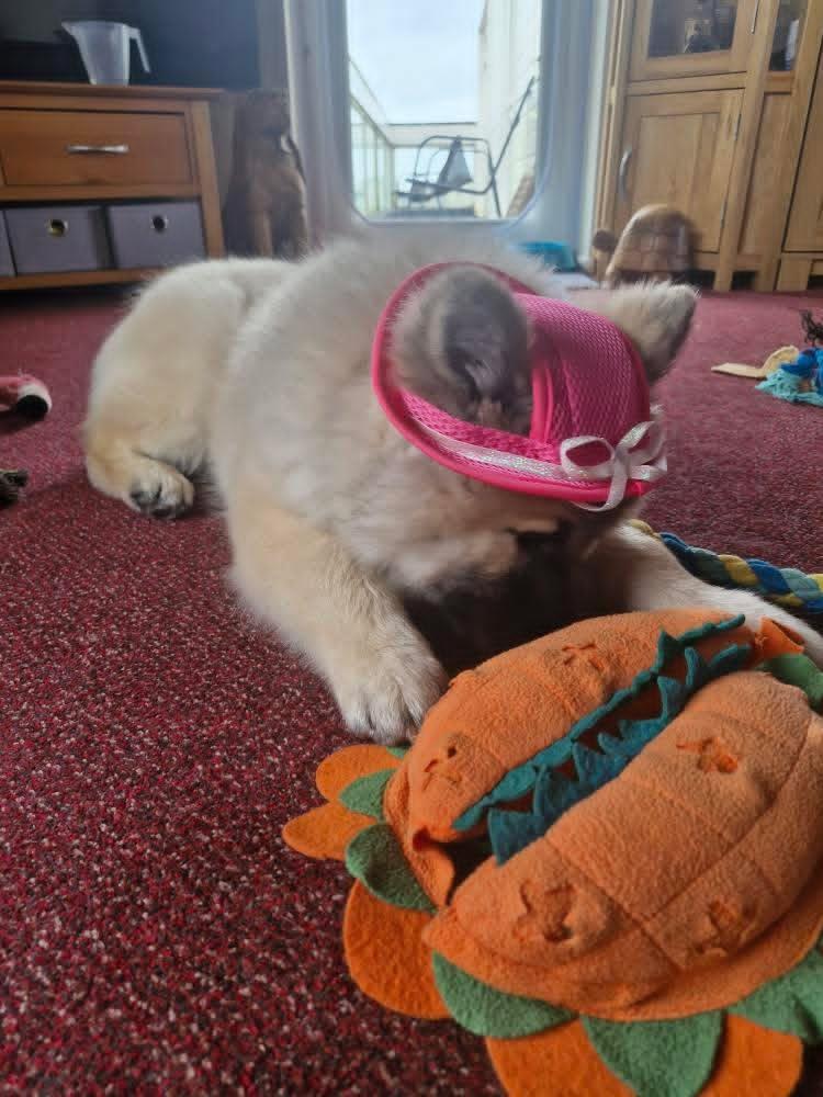 Anari with her special pink hat on