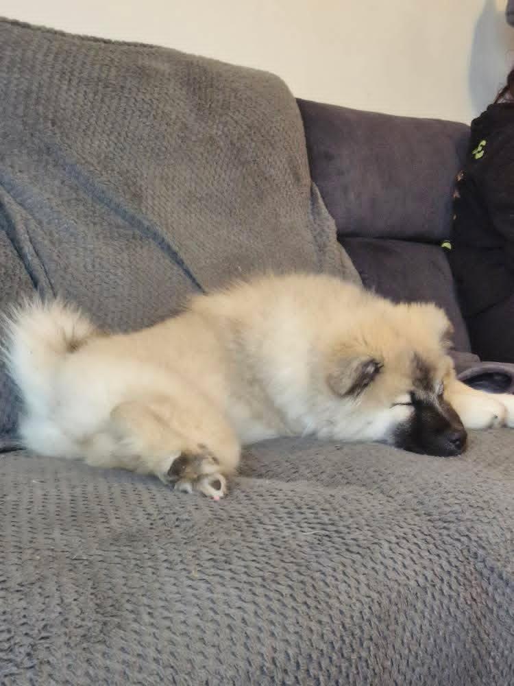 Anari asleep after stealing Coda's seat