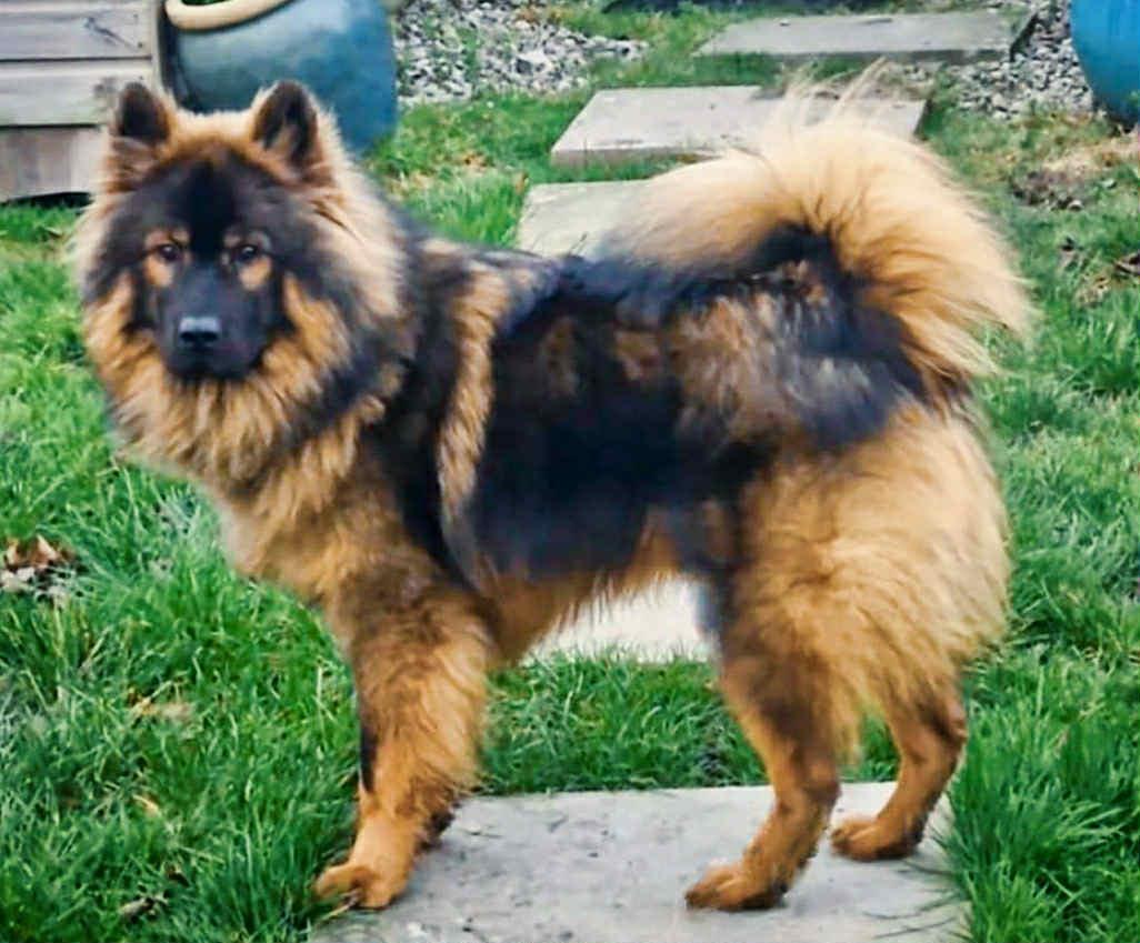 coda posing for a perfect photo