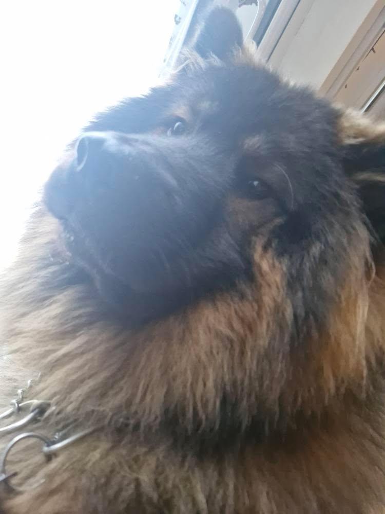 coda looking down at the phone