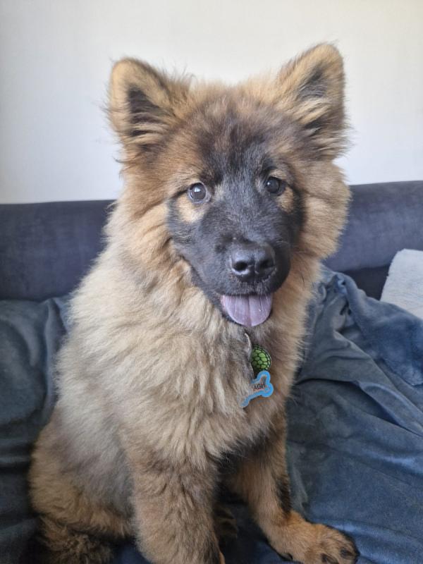 coda looking super cute